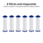 6 Filtres Anti-Impuretés